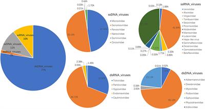 Virome in Fecal Samples From Wild Giant Pandas (Ailuropoda Melanoleuca)